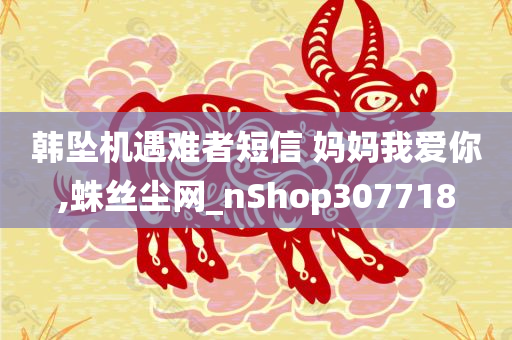 韩坠机遇难者短信 妈妈我爱你,蛛丝尘网_nShop307718