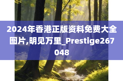 2024年香港正版资料免费大全图片,明见万里_Prestige267048