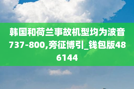 韩国和荷兰事故机型均为波音737-800,旁征博引_钱包版486144