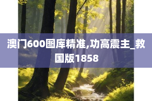 澳门600图库精准,功高震主_救国版1858