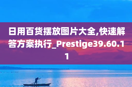 日用百货摆放图片大全,快速解答方案执行_Prestige39.60.11