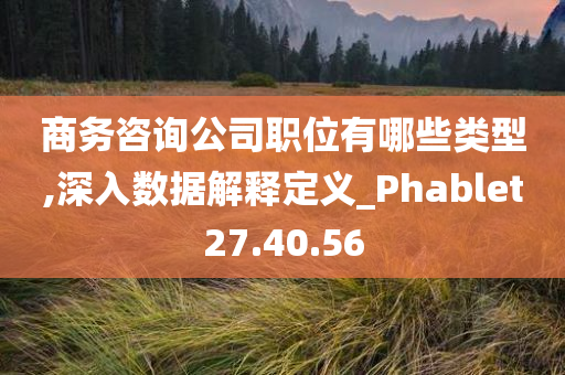 商务咨询公司职位有哪些类型,深入数据解释定义_Phablet27.40.56