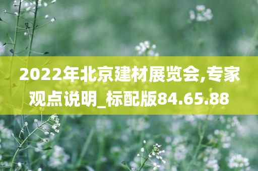 2022年北京建材展览会,专家观点说明_标配版84.65.88