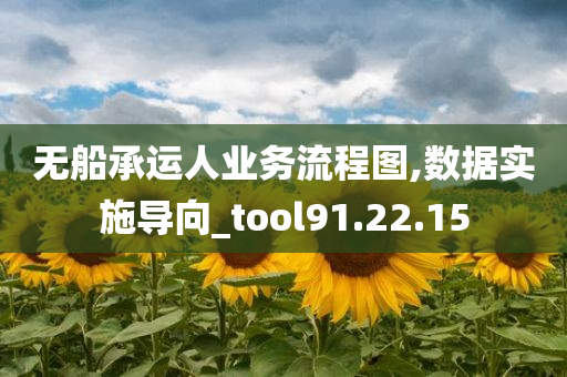 无船承运人业务流程图,数据实施导向_tool91.22.15