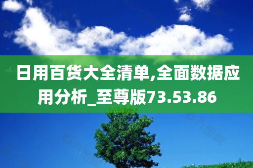 日用百货大全清单,全面数据应用分析_至尊版73.53.86