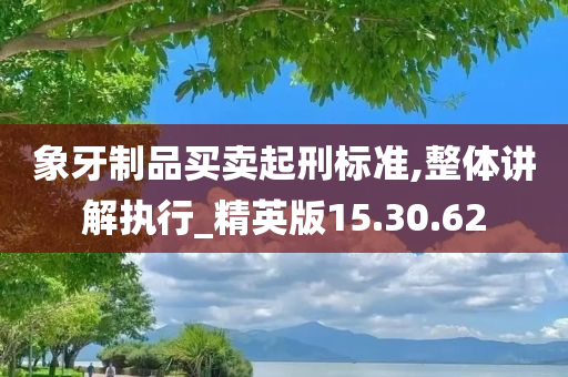 象牙制品买卖起刑标准,整体讲解执行_精英版15.30.62