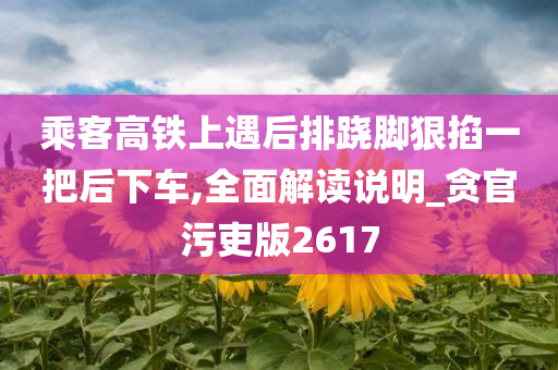 乘客高铁上遇后排跷脚狠掐一把后下车,全面解读说明_贪官污吏版2617