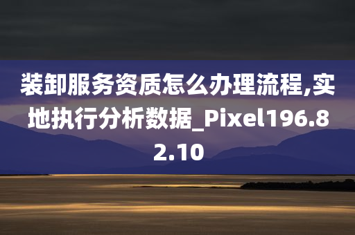 装卸服务资质怎么办理流程,实地执行分析数据_Pixel196.82.10