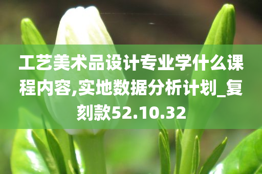 工艺美术品设计专业学什么课程内容,实地数据分析计划_复刻款52.10.32