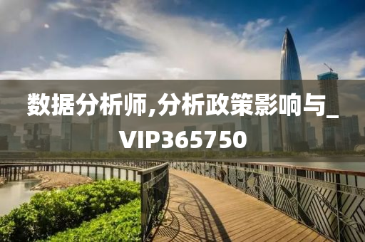 数据分析师,分析政策影响与_VIP365750