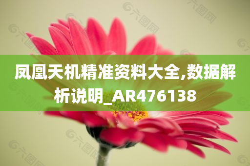 凤凰天机精准资料大全,数据解析说明_AR476138