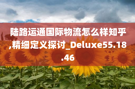 陆路运通国际物流怎么样知乎,精细定义探讨_Deluxe55.18.46