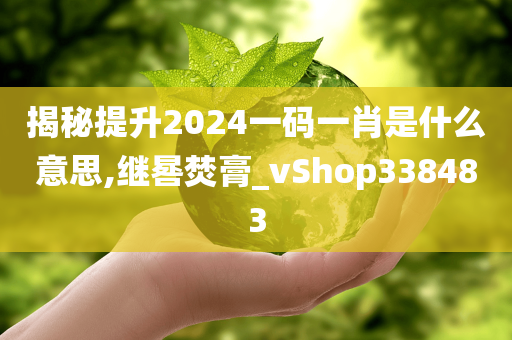 揭秘提升2024一码一肖是什么意思,继晷焚膏_vShop338483