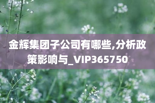 金辉集团子公司有哪些,分析政策影响与_VIP365750