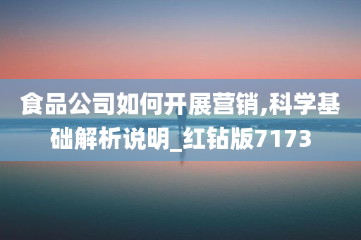 食品公司如何开展营销,科学基础解析说明_红钻版7173