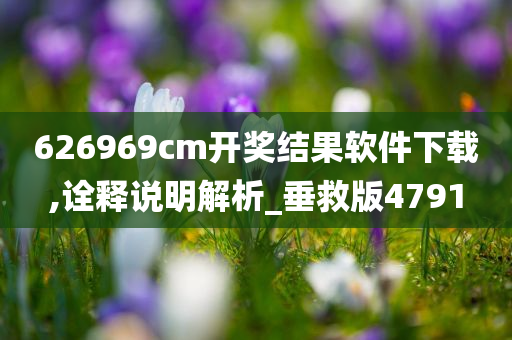 626969cm开奖结果软件下载,诠释说明解析_垂救版4791