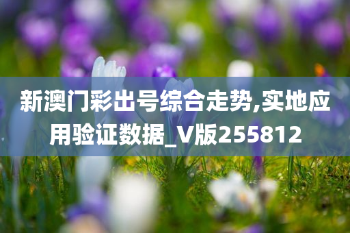 新澳门彩出号综合走势,实地应用验证数据_V版255812