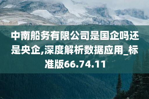 中南船务有限公司是国企吗还是央企,深度解析数据应用_标准版66.74.11