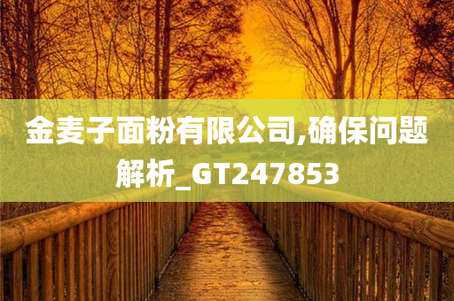 金麦子面粉有限公司,确保问题解析_GT247853