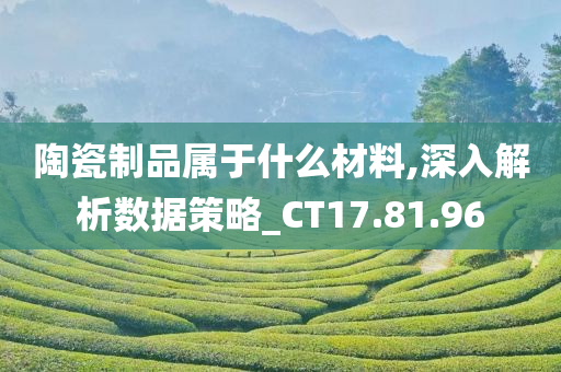 陶瓷制品属于什么材料,深入解析数据策略_CT17.81.96