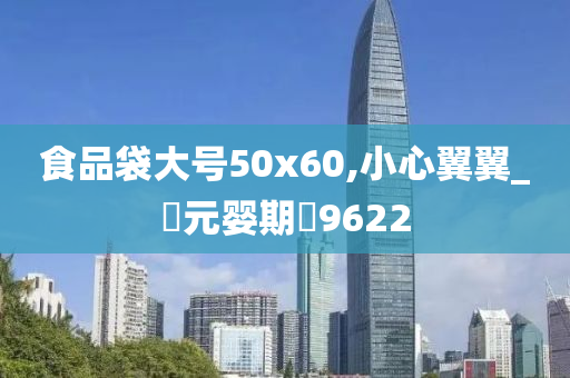 食品袋大号50x60,小心翼翼_‌元婴期‌9622