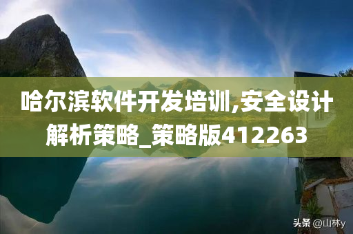 哈尔滨软件开发培训,安全设计解析策略_策略版412263