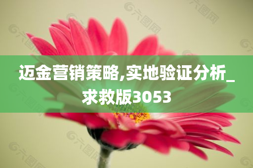 迈金营销策略,实地验证分析_求救版3053