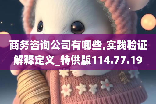 商务咨询公司有哪些,实践验证解释定义_特供版114.77.19