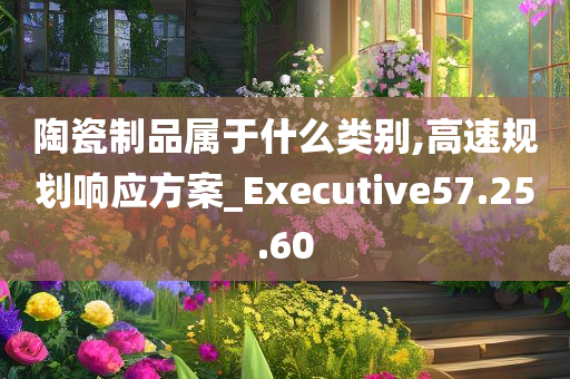 陶瓷制品属于什么类别,高速规划响应方案_Executive57.25.60