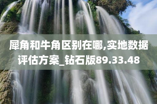 犀角和牛角区别在哪,实地数据评估方案_钻石版89.33.48