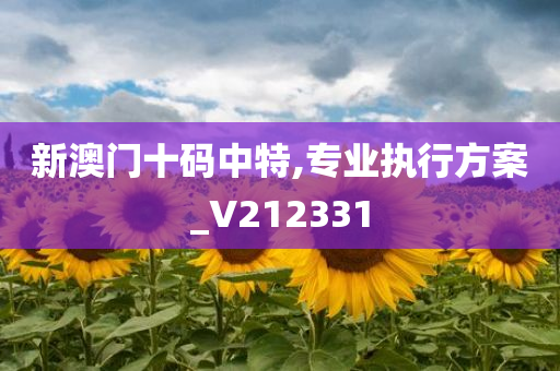 新澳门十码中特,专业执行方案_V212331