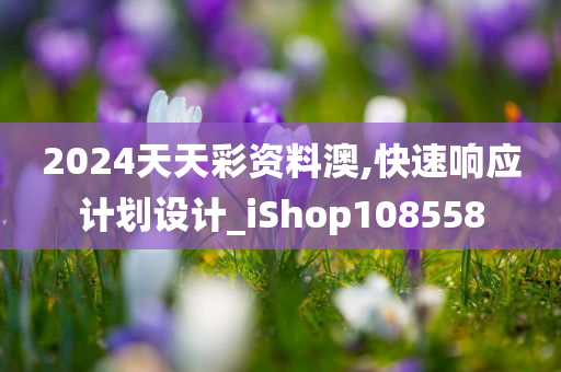 2024天天彩资料澳,快速响应计划设计_iShop108558