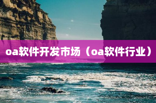 oa软件开发市场（oa软件行业）