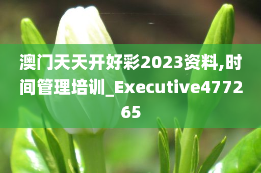 澳门天天开好彩2023资料,时间管理培训_Executive477265