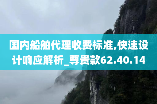 国内船舶代理收费标准,快速设计响应解析_尊贵款62.40.14