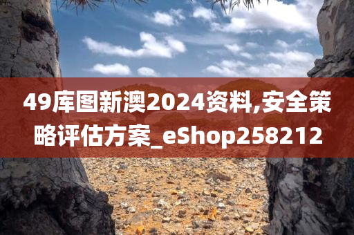 49库图新澳2024资料,安全策略评估方案_eShop258212