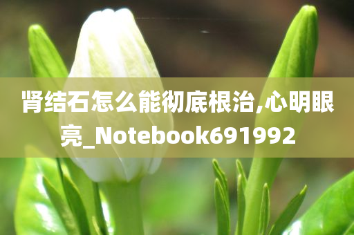 肾结石怎么能彻底根治,心明眼亮_Notebook691992