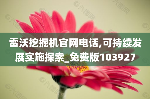 雷沃挖掘机官网电话,可持续发展实施探索_免费版103927