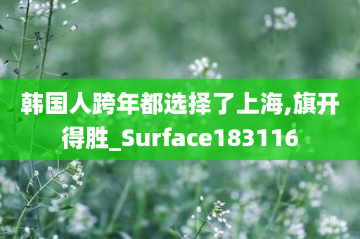 韩国人跨年都选择了上海,旗开得胜_Surface183116