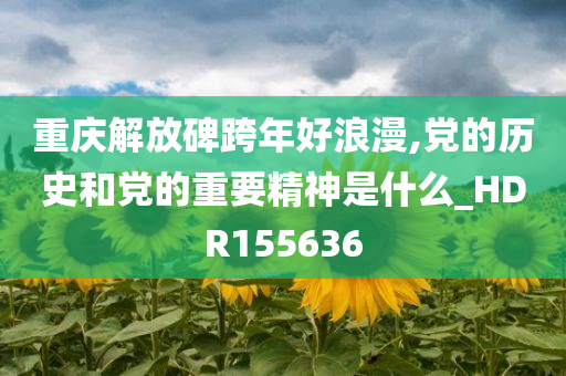 重庆解放碑跨年好浪漫,党的历史和党的重要精神是什么_HDR155636