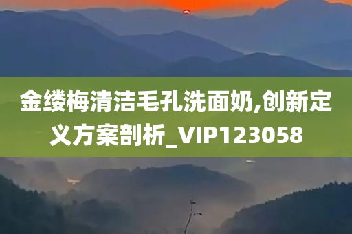 金缕梅清洁毛孔洗面奶,创新定义方案剖析_VIP123058