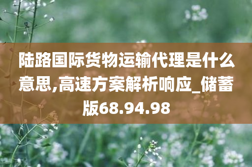 陆路国际货物运输代理是什么意思,高速方案解析响应_储蓄版68.94.98