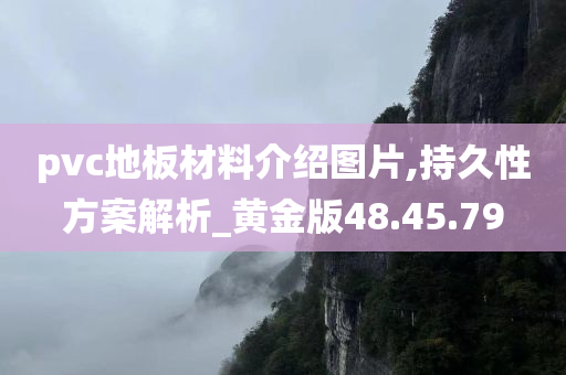 pvc地板材料介绍图片,持久性方案解析_黄金版48.45.79