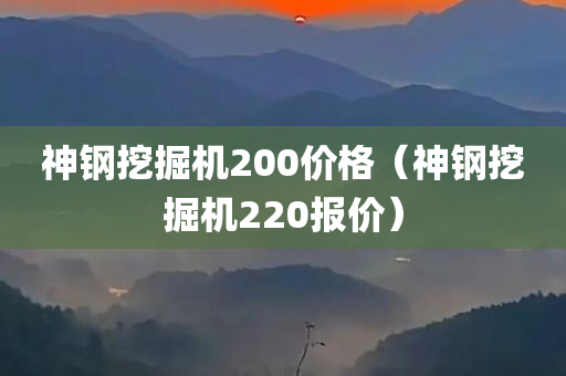 神钢挖掘机200价格（神钢挖掘机220报价）