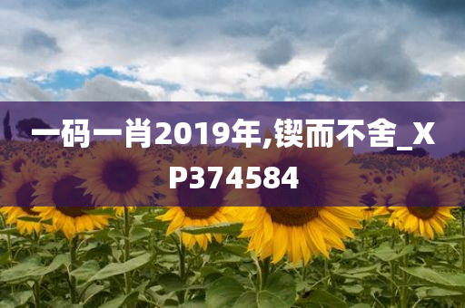 一码一肖2019年,锲而不舍_XP374584