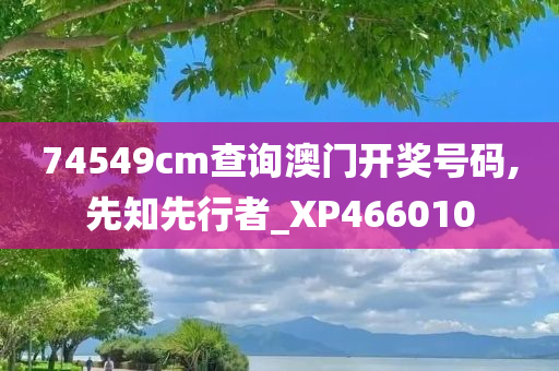 74549cm查询澳门开奖号码,先知先行者_XP466010