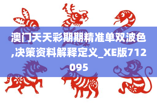 澳门天天彩期期精准单双波色,决策资料解释定义_XE版712095