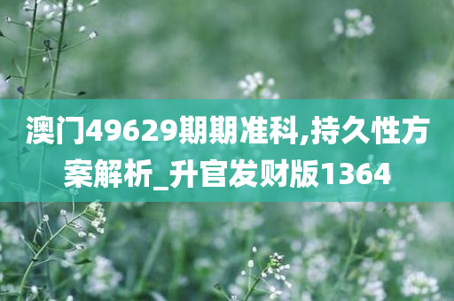 澳门49629期期准科,持久性方案解析_升官发财版1364