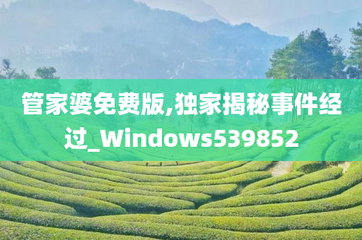 管家婆免费版,独家揭秘事件经过_Windows539852