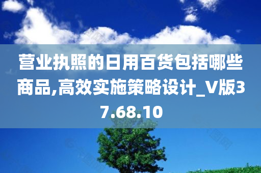 营业执照的日用百货包括哪些商品,高效实施策略设计_V版37.68.10